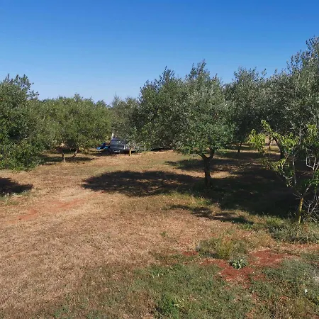 Jacuzi In The Olive Grove Camping Pula