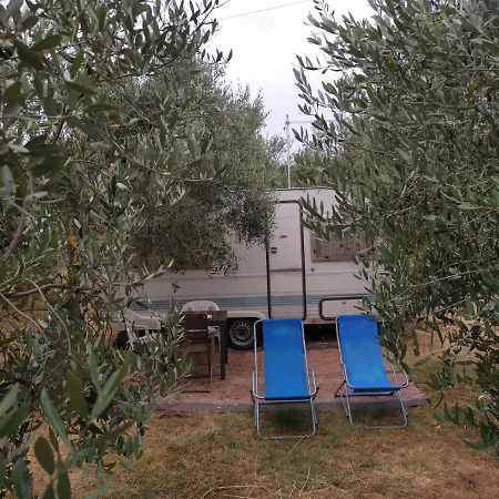 Jacuzi In The Olive Grove Camping *