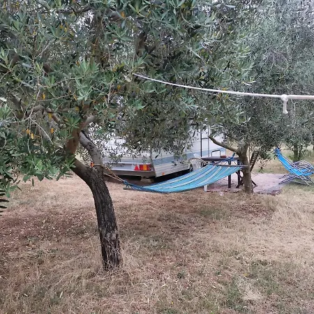 Jacuzi In The Olive Grove Camping