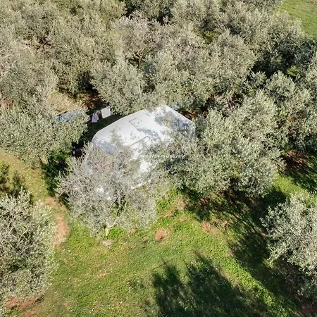 Camping Jacuzi In The Olive Grove Pula