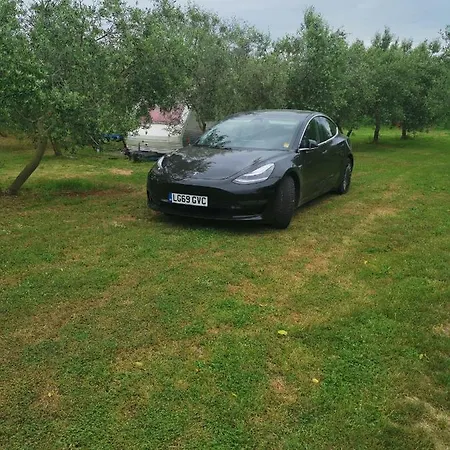 Camping Jacuzi In The Olive Grove Pula