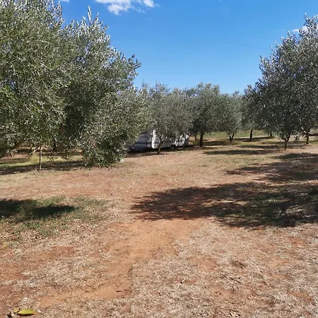 Jacuzi In The Olive Grove Camping Pula