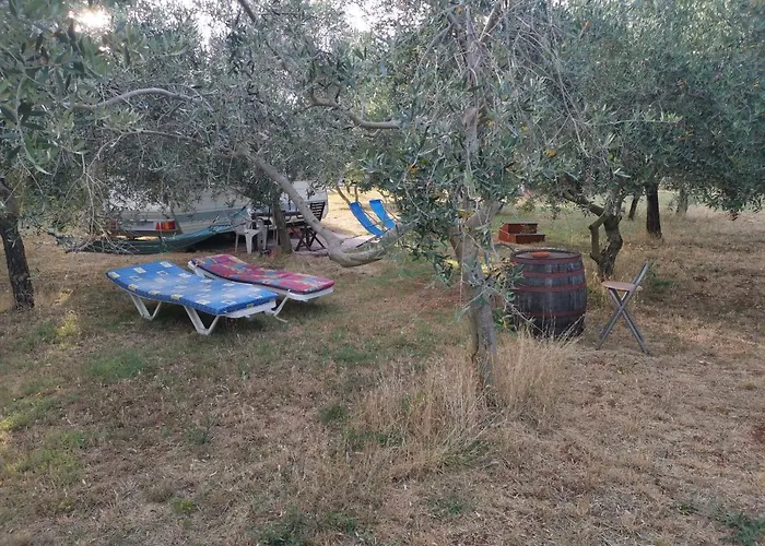 Jacuzi In The Olive Grove Kamp Pula