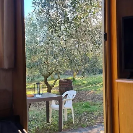 Jacuzi In The Olive Grove Campsite Pula