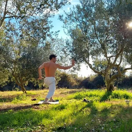 Kemp Jacuzi In The Olive Grove