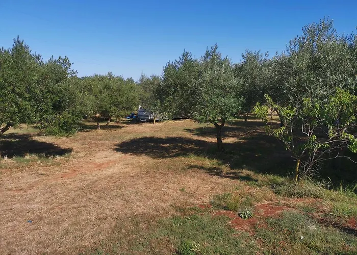 Jacuzi In The Olive Grove Kemping Póla