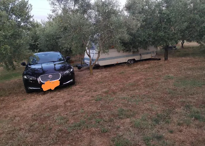 Jacuzi In The Olive Grove Póla