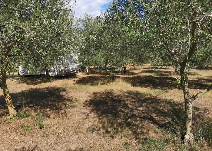 Jacuzi In The Olive Grove * Póla