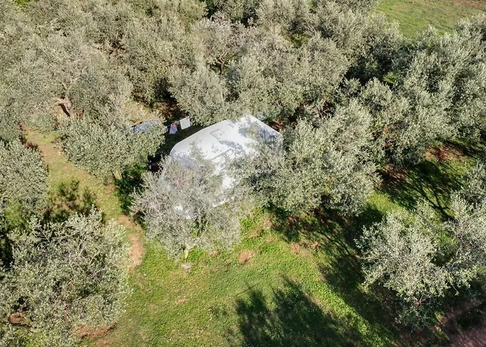 Kemping Jacuzi In The Olive Grove Póla