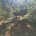Jacuzi In The Olive Grove Camping *