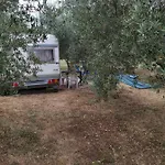 Camping Jacuzi In The Olive Grove Pula