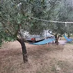 Jacuzi In The Olive Grove Camping