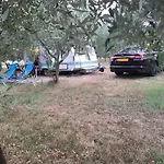 Camping Jacuzi In The Olive Grove Pula