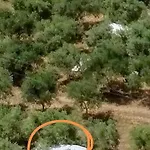 Jacuzi In The Olive Grove