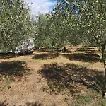 Jacuzi In The Olive Grove * Pula