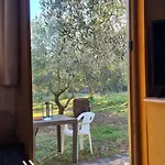 Jacuzi In The Olive Grove Camping Pula