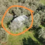Jacuzi In The Olive Grove *