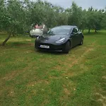 Camping Jacuzi In The Olive Grove Pula