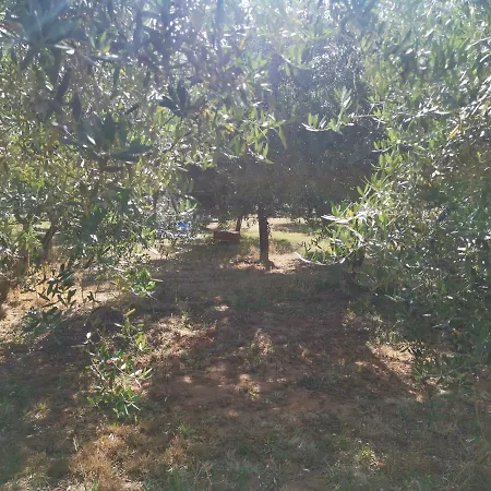 Jacuzi In The Olive Grove אתר קמפינג *
