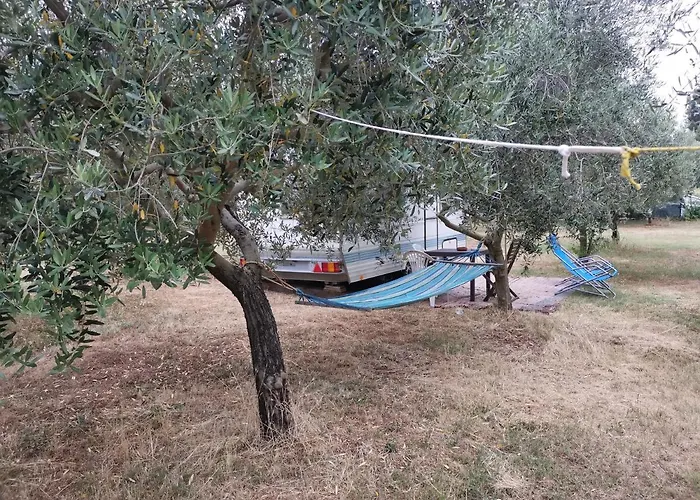 Jacuzi In The Olive Grove Camping