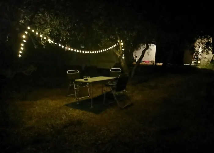 Jacuzi In The Olive Grove *